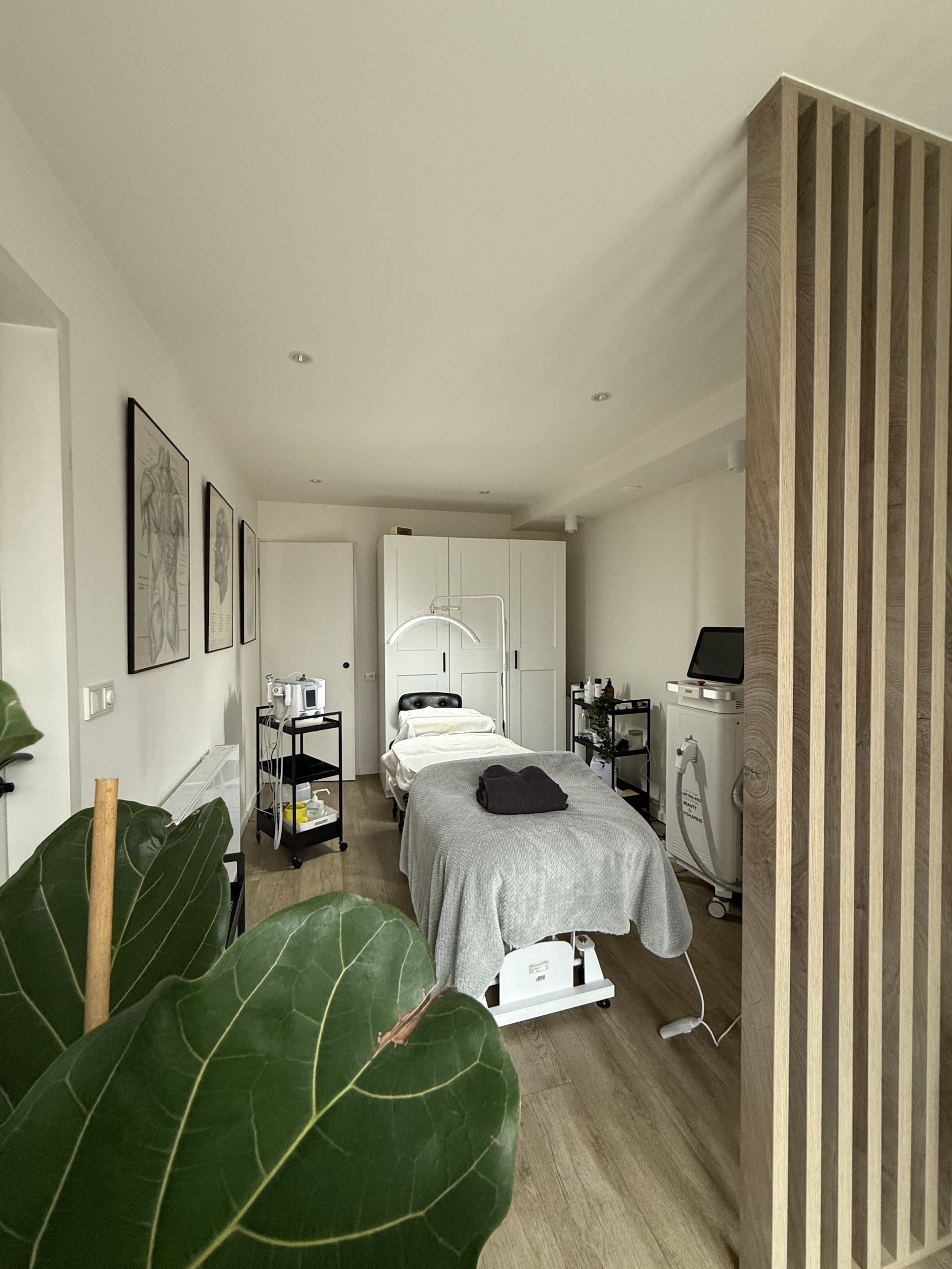De behandelkamer van Face Therapy met behandelbed, houten lamellen en een grote vijgenplant
